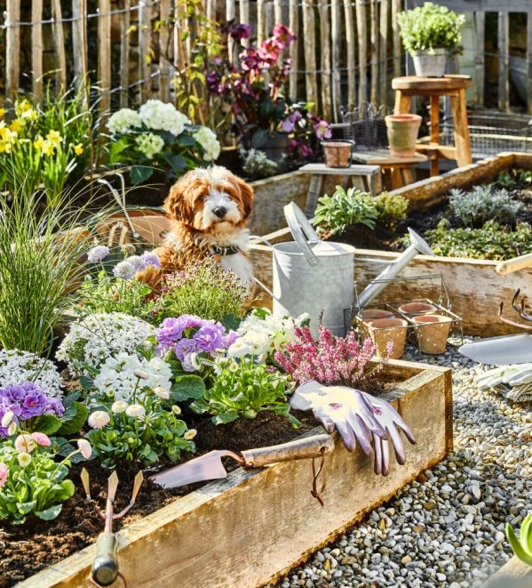 małe ogrody aranżacja