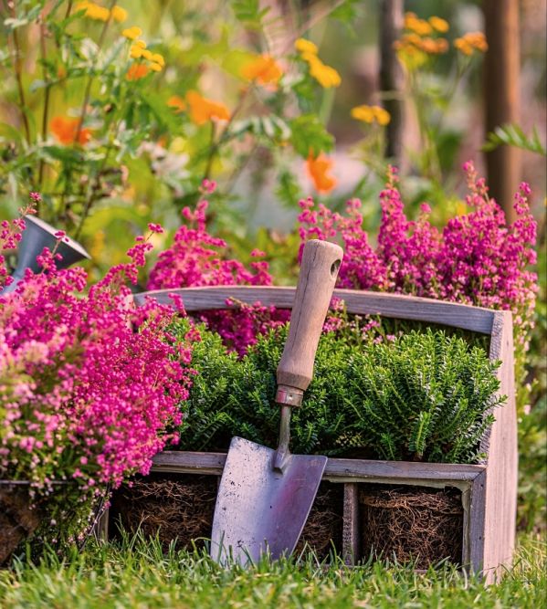 zakładanie ogrodu jesienią