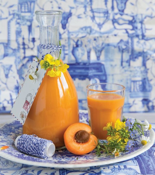 przepisy na dania z morelami