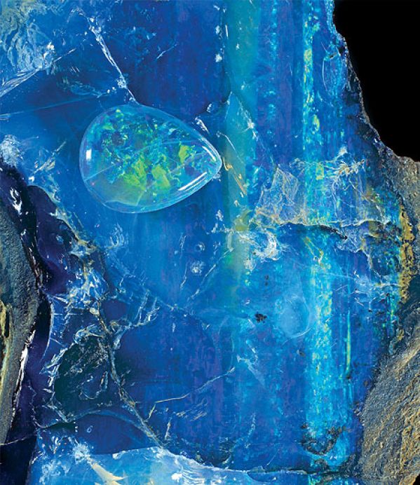 The National History Museum, Londyn.