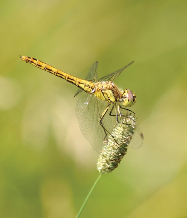 fotografie Małgorzaty Gajos i Anny Gawryszewskiej