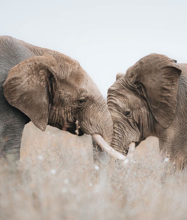 Monika Wanat fotografia