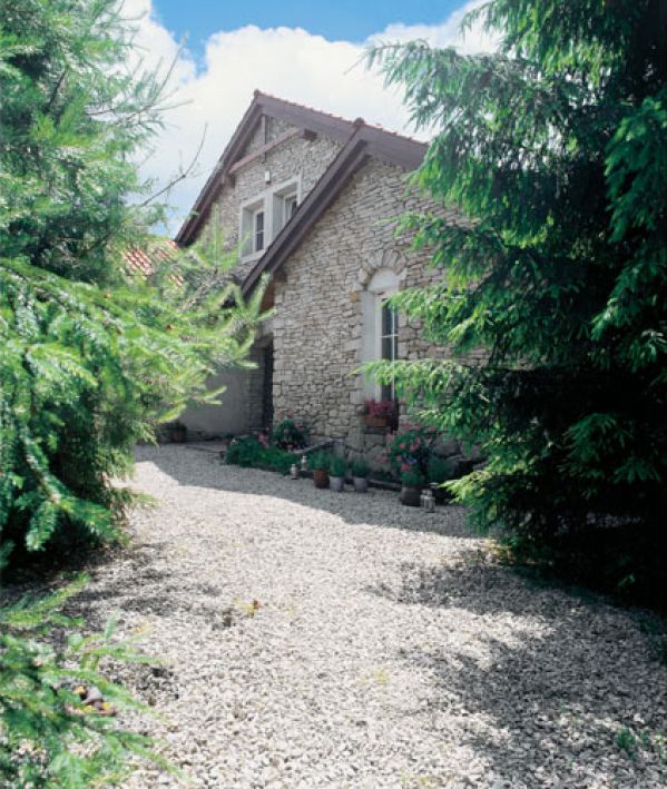 Kamienny dom pośród świerkowego lasu.