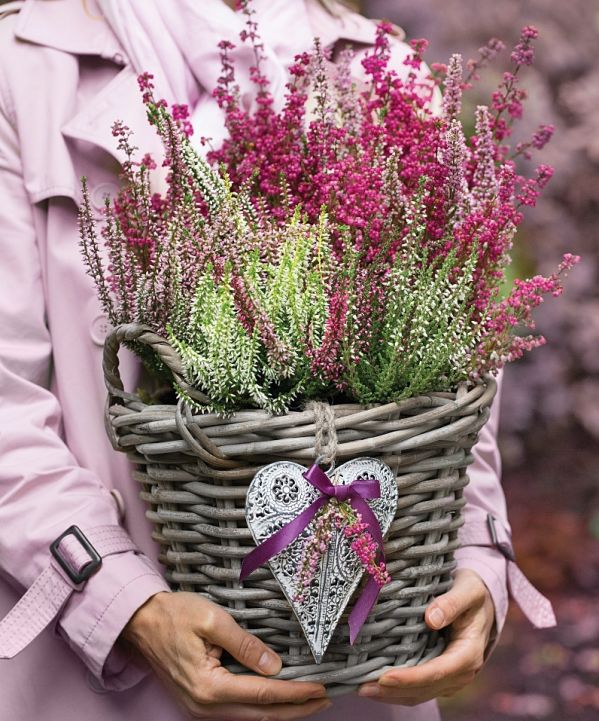 najpiękniejsze dekoracje z wrzosów do domu i ogrodu
