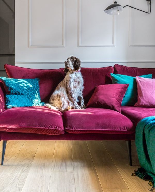 salon w modnych kolorach