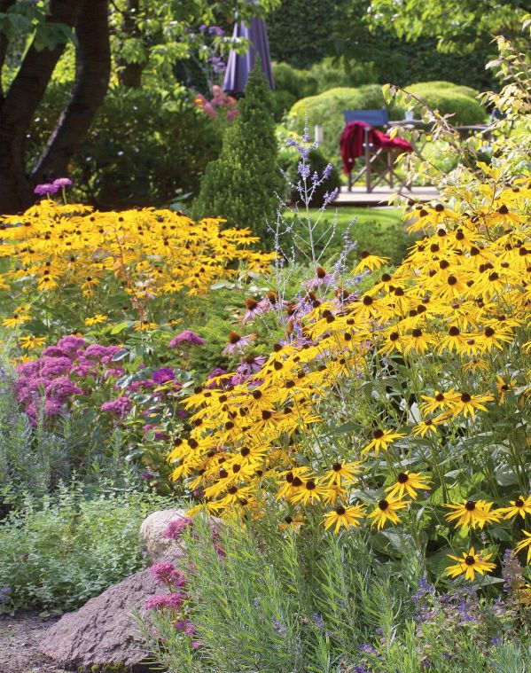 kwiatowe rabaty i ozdobne trawy w ogrodzie
