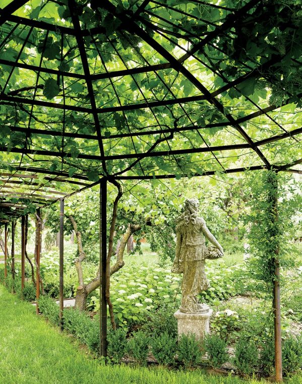 aranżacja ogrodu z pergolą