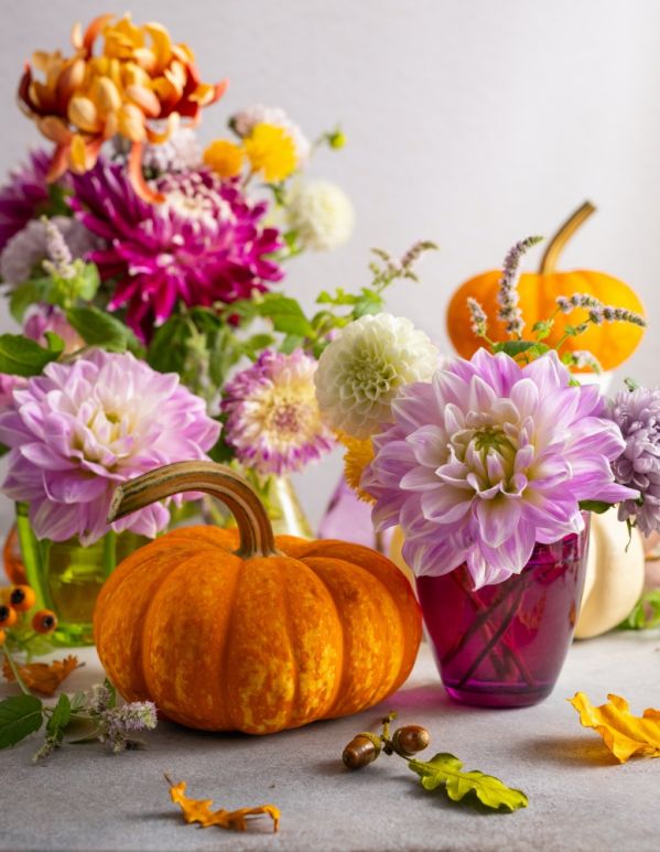 jesienne kwiaty w ogrodzie na balkonie i tarasie