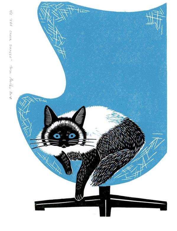 linoryty Zuzy Miśko