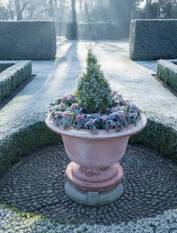 Wejście do tajemniczego, zimowego ogrodu prowadzi przez półokrągłą furtę