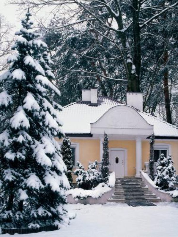 Dworek otoczony zaśnieżonymi drzewami.