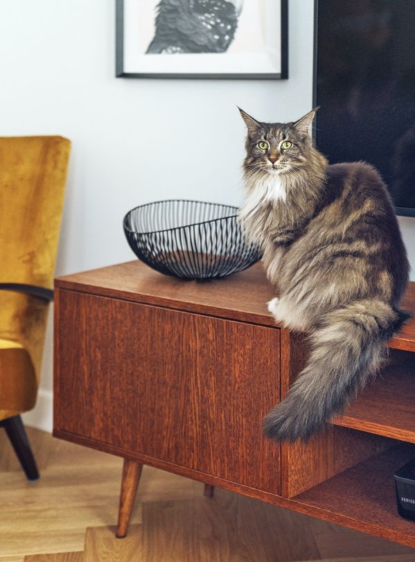 nowoczesność i vintage połączone w mieszkaniu na mokotowie