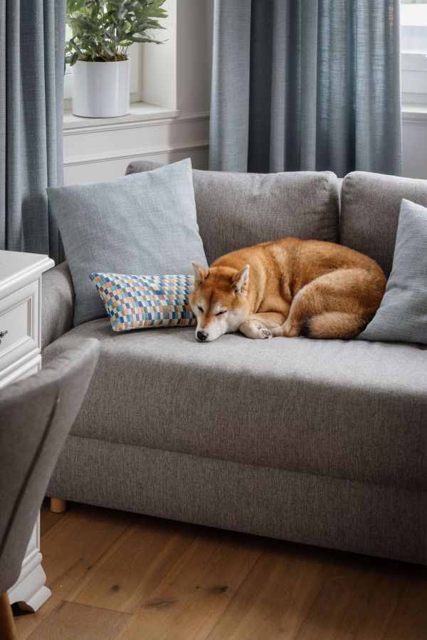 nowoczesna klasyka w domu inspirowanym modernizmem