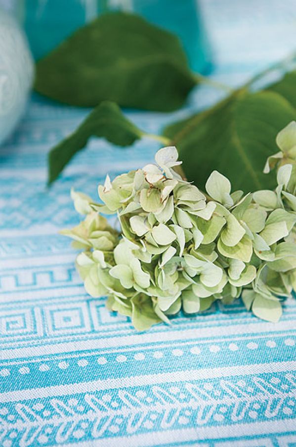 Żakardy z Fabriqi. Żakardowe opowieści