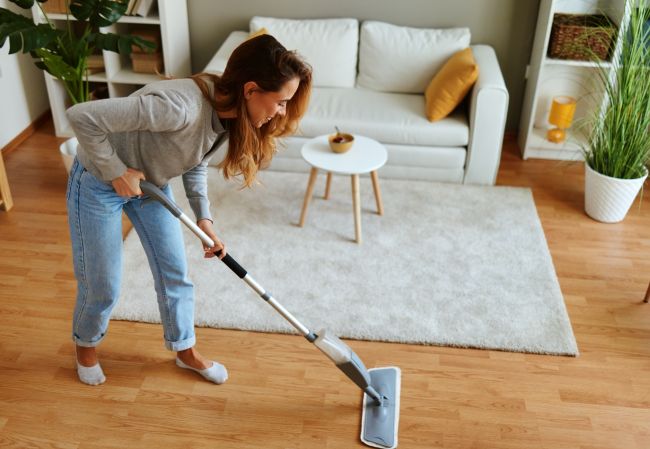 co jest lepsze mop parowy czy mop elektryczny