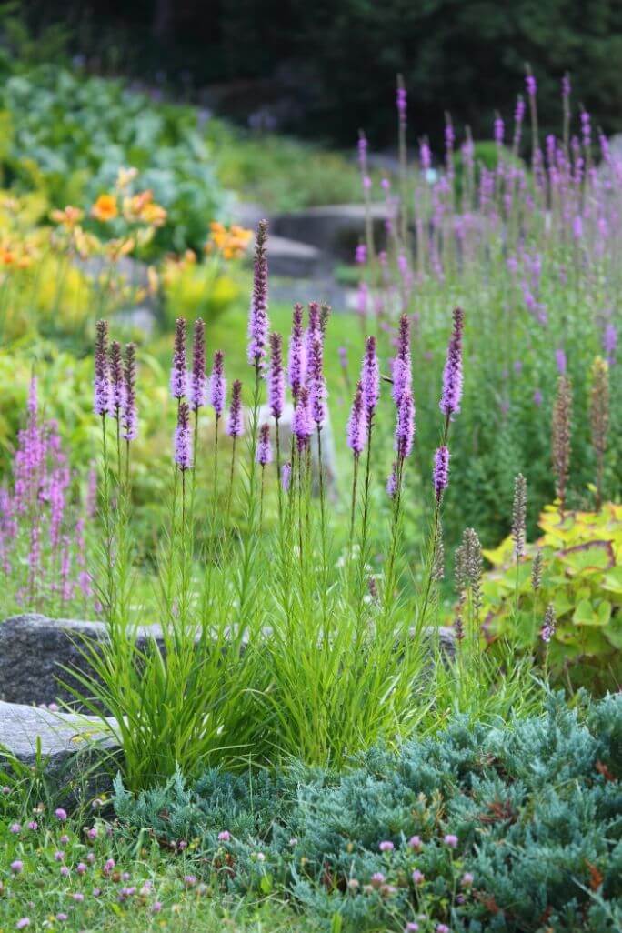 trendy ogrodowe 2025