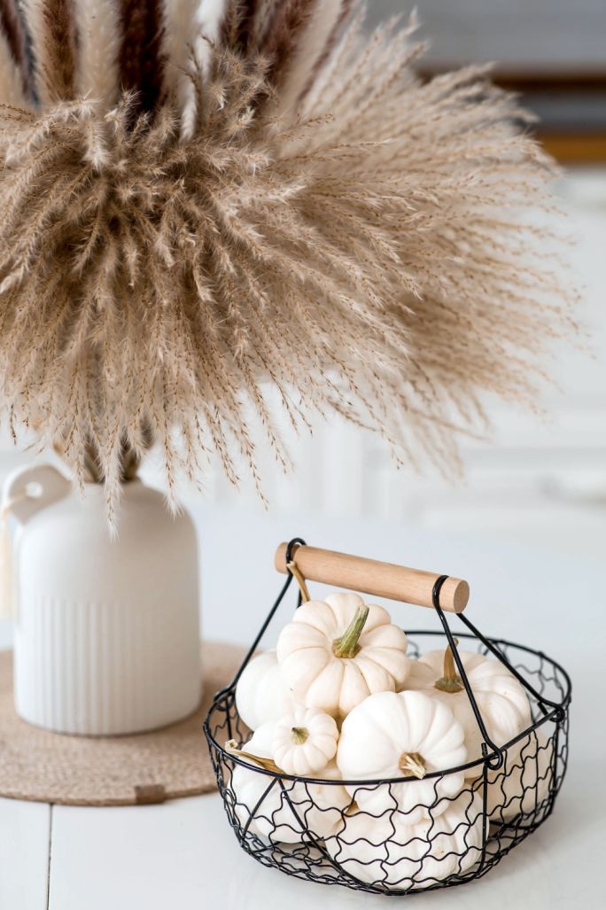 trawa pampasowa suszona