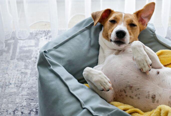 10 propozycji na prezent do domu