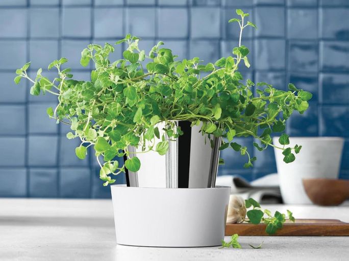 doniczka na zioła z podstawką nawadniającą