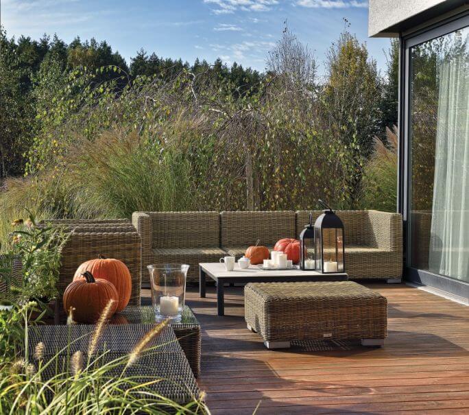 ogród z brzozowym zagajnikiem