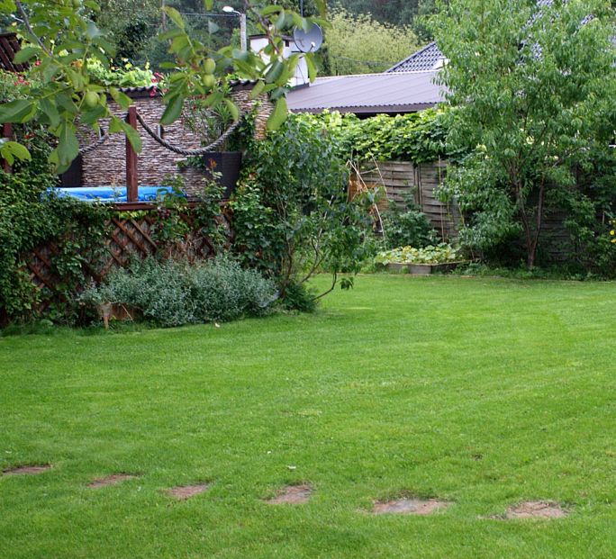 trawnik samonawożący z mikrokoniczyną