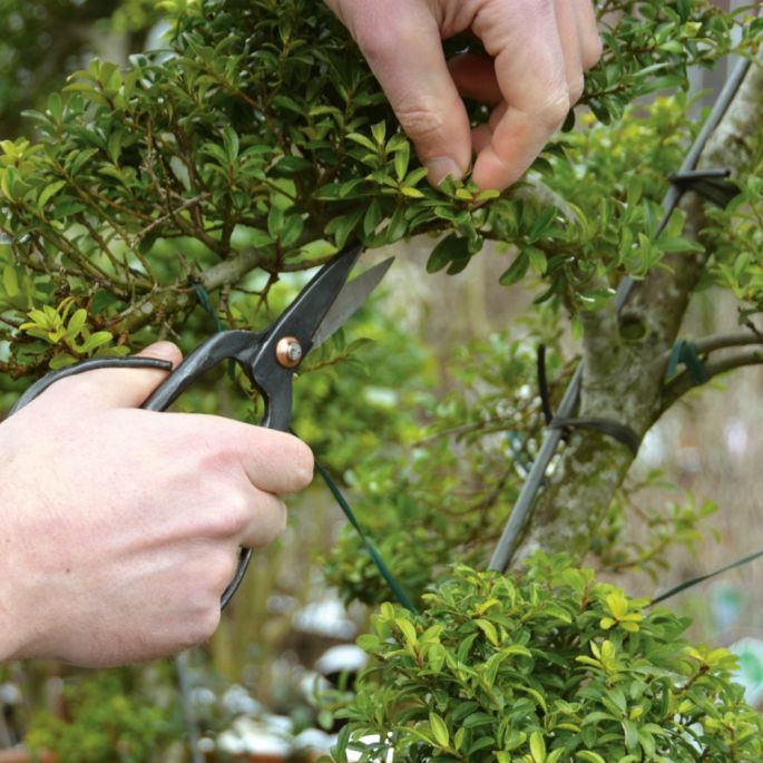 prezent dla ogrodnika