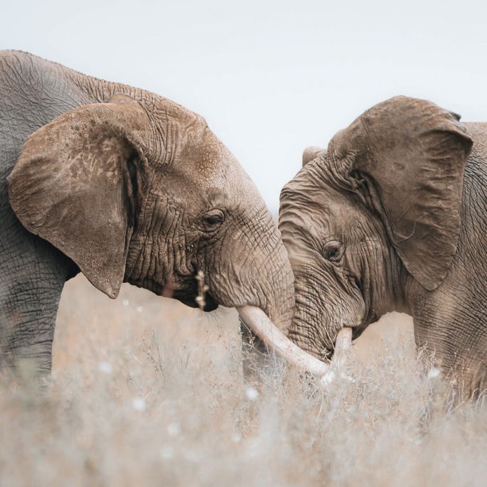 Monika Wanat fotografia