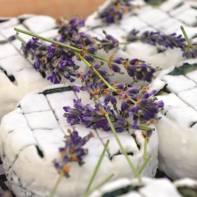 Kulinarny Festiwal Kwiatów Jadalnych