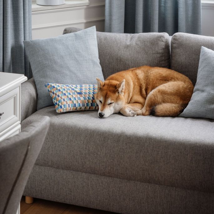 nowoczesna klasyka w domu inspirowanym modernizmem