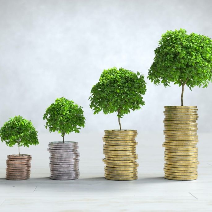 moje ciepło mój prąd czy czyste powietrze  porównanie programów