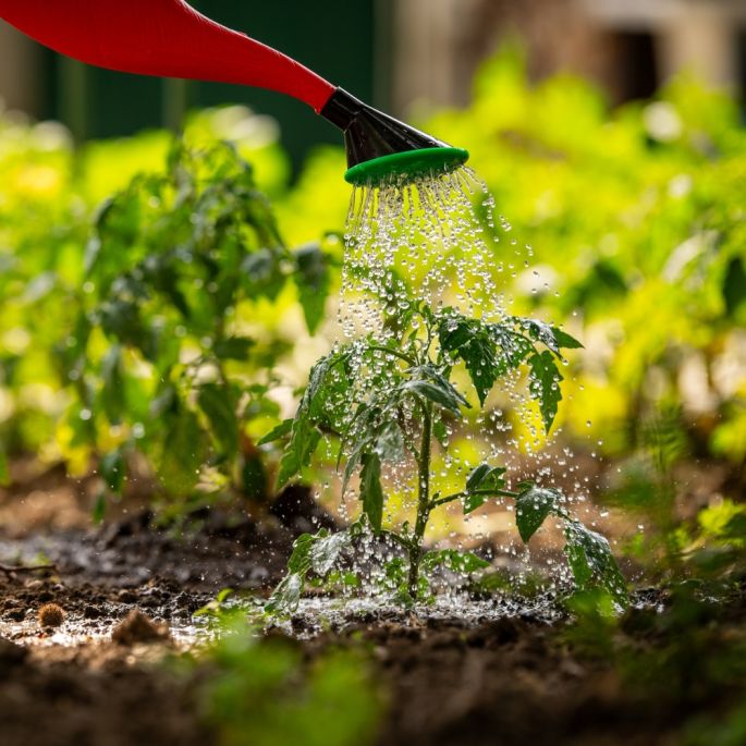 zbiorniki dekoracyjne na deszczówkę