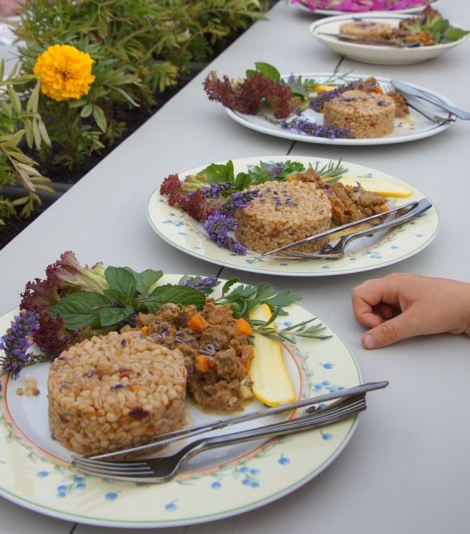 pokazy kulinarne z jadalnych kwiatów