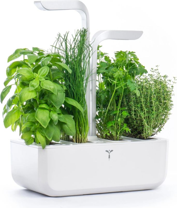 najlepsza doniczka na zioła