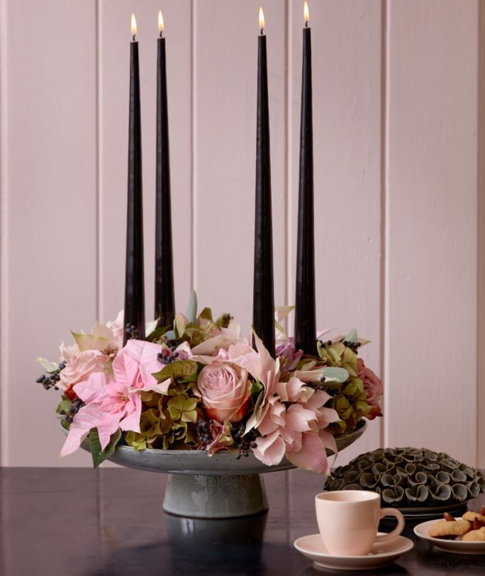 różowa gwiazda betlejemska