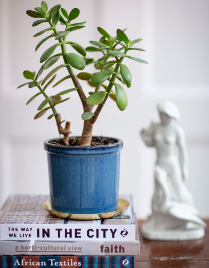 doniczka ceramiczna niebieska