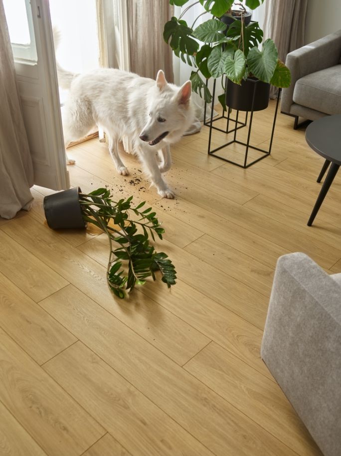 panele podłogowe VOX Querra