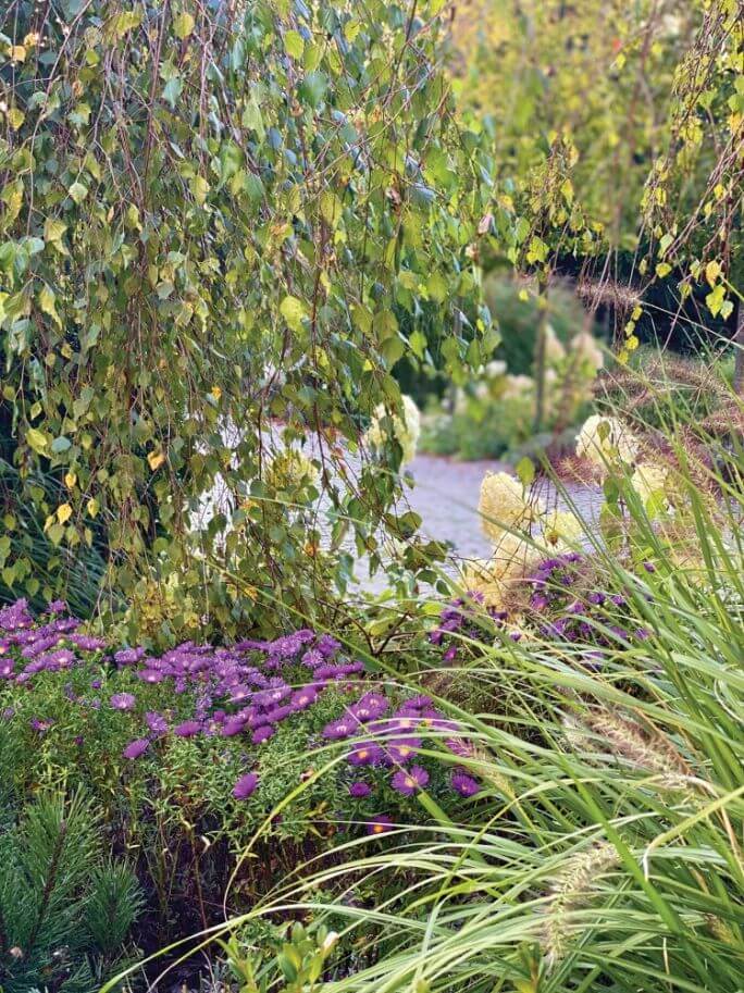 rośliny do jesiennego ogrodu