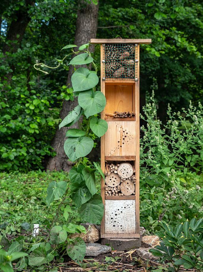 trendy w aranżacji ogrodów 2025