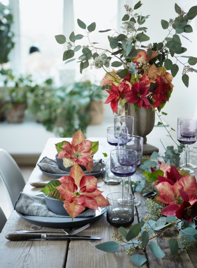 gwiazda betlejemska symbolika