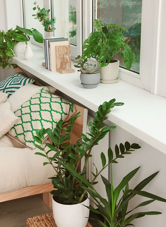 kwiaty doniczkowe do sypialni