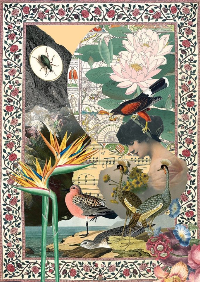 Anna Klejnowska kolaże