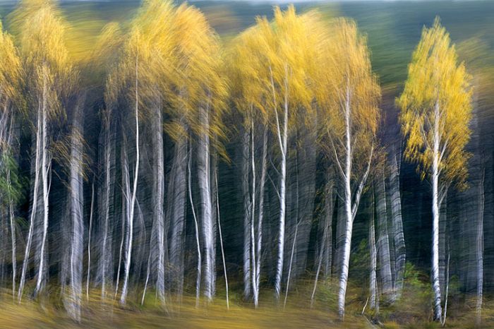 Podróże kształcą