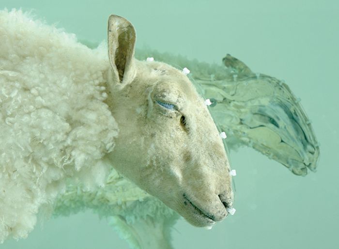 Napięcie premilenijne