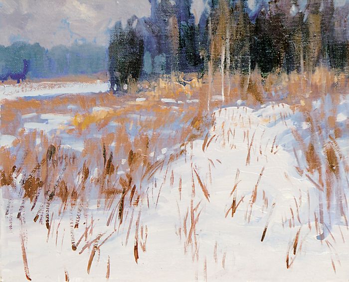 Okoliczności przyrody