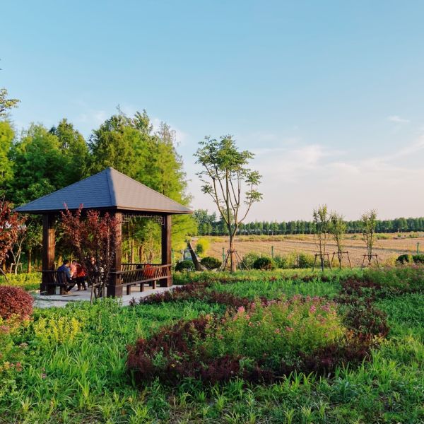 altana ogrodowa z drewna