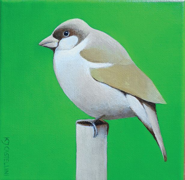 Katarzyna Jędrysik-Castelli malarstwo