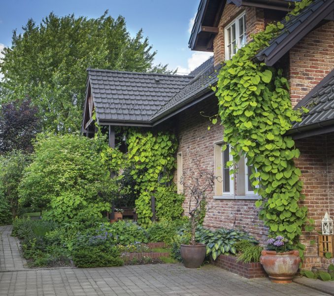 aranżacja naturalnego ogrodu