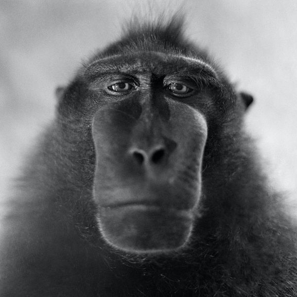 fotografie Jacka Kusza