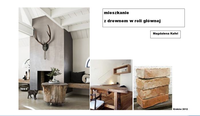 Magdalena Kafel prezentuje swój projekt