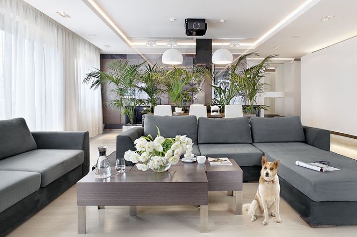 Pomiędzy salonem a kuchnią stoją donice z kentiami.